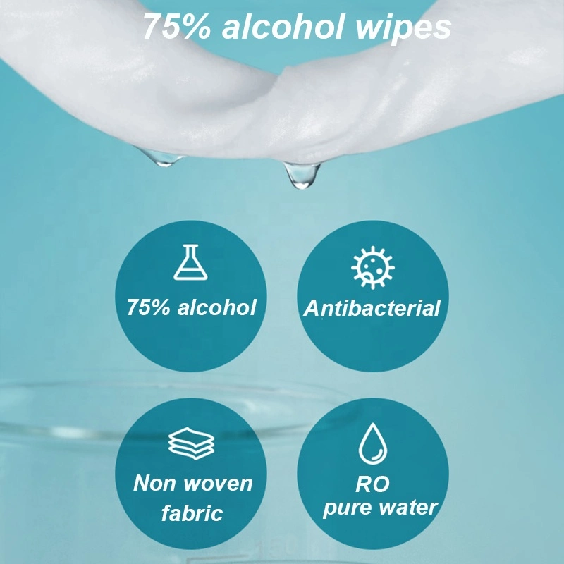 OEM Factory 100% Biodegradable Wipes Flushable Wet Wipe