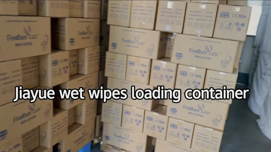 Preventing Drying of Skin Wet Wipes for Adult