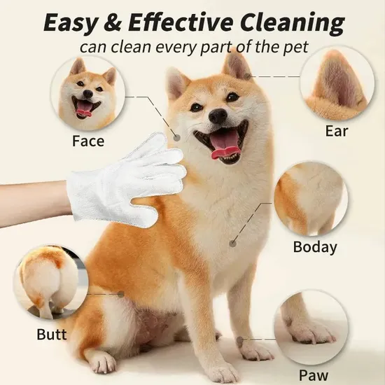 Pet