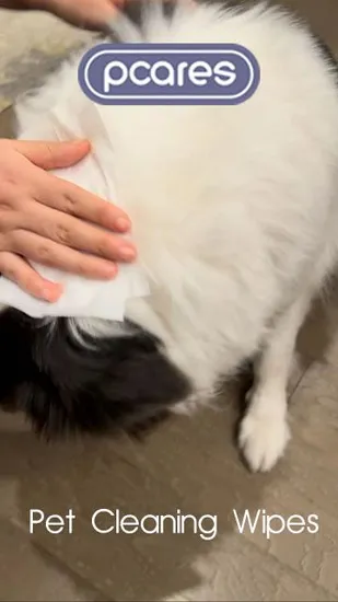 Factory Customized Wet Wipes Production Lines Pet Full Body Clean Waterless Pet Cleaning Glove Wipes 
