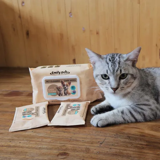 Disposable Pet Cleaning Wipes Private Label Biodegradable Pet Grooming Sets Wet Wipes for Dogs and Cats 