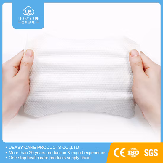 Wholesale Nonwoven Flushable Personal Care Wet Wipes Sanitizing Wet Wipe Hand Mouth Gym Lady Wet Wipes Alcohol Free FDA CE Approval Wet Wipes Facial Wet Wipes